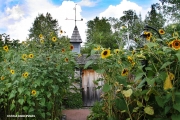 B0281-SUNFLOWER-HOUSE-©SDI